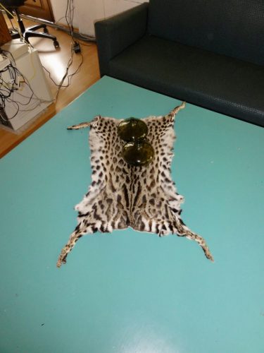Македония