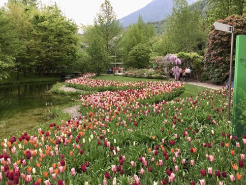 Трентино-Альто-Адидже